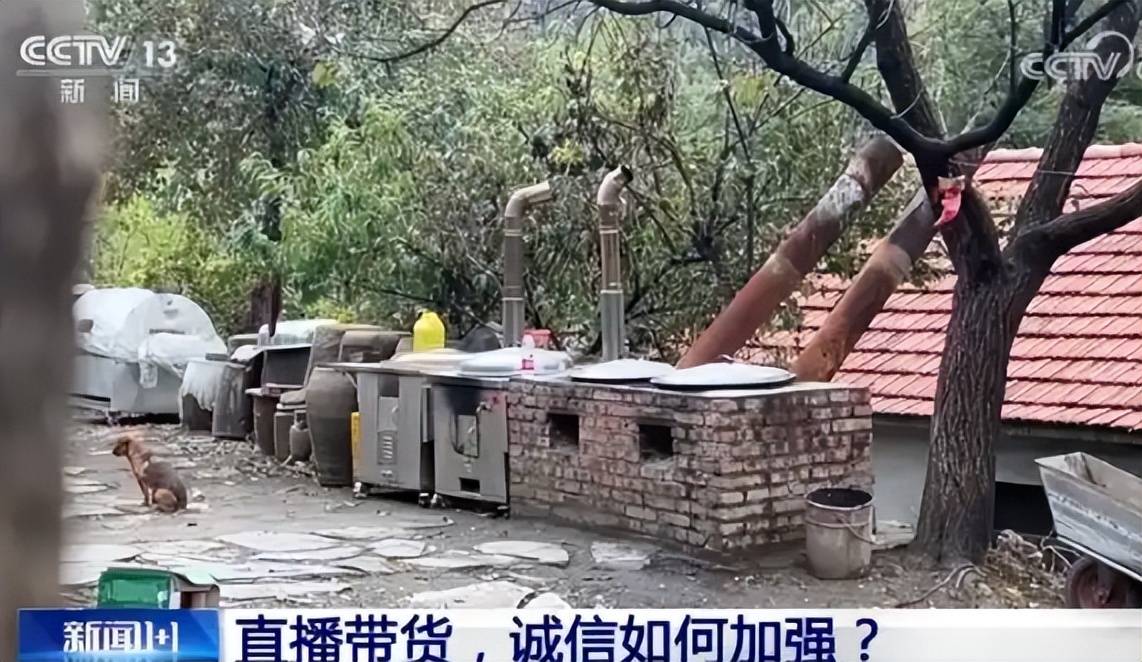 东北雨姐翻车后续:封号罚款税务问题层出不穷