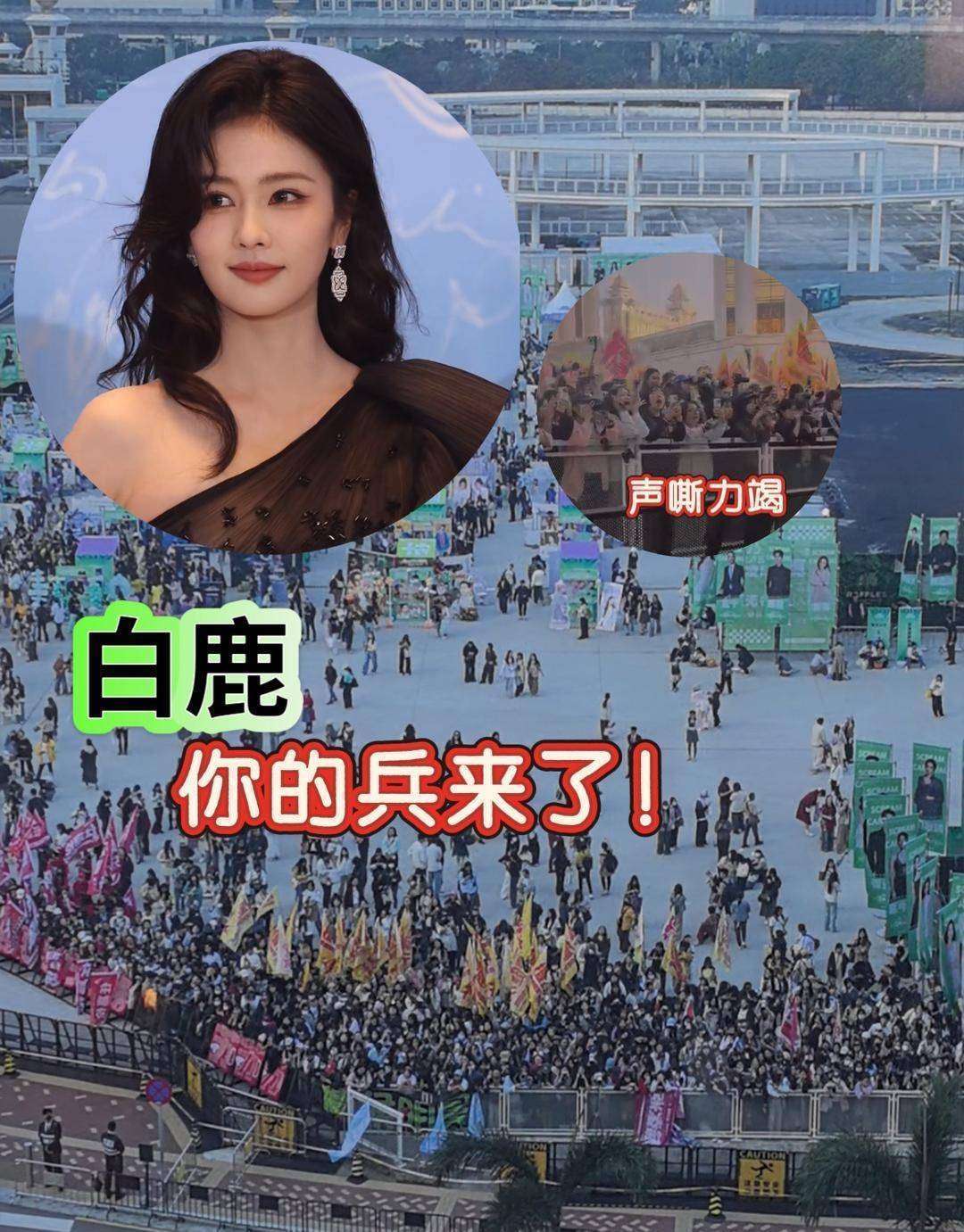 小城女孩六连辟谣:流量明星人设讨论真相