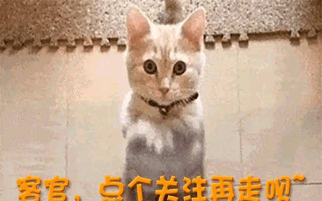 白鹿风波再升级!十万红包猛料曝