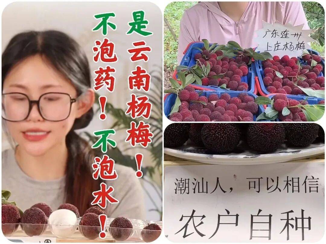 杨梅塌房事件:泡药、信任危机与行业反思