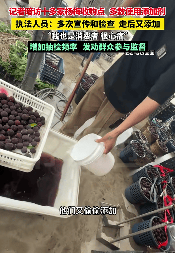 杨梅塌房事件:泡药、信任危机与行业反思