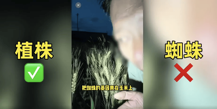 事件相关图片