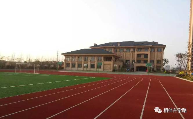 魔都星河湾vs七宝德怀特 国际学校PK