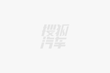 王力宏代言腾势费用超千万 全买比亚迪股票